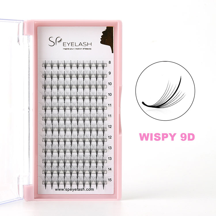 9D Wispy кірпіктері